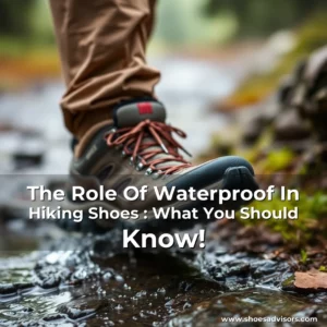 Artistic representation for The Role Of Waterproof In Hiking Shoes : What You Should Know!